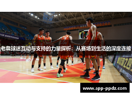 老詹球迷互动与支持的力量探析：从赛场到生活的深度连接