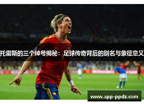 托雷斯的三个绰号揭秘：足球传奇背后的别名与象征意义